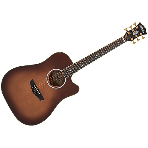 Excel Bowery Autumn Burst D'Angelico