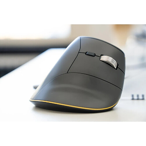 BakkerElkhuizen FastForward Souris ergonomique verticale pour droitier