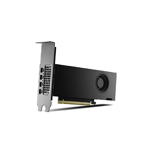 PNY NVIDIA RTX 2000 Ada Generation 16 Go GDDR6