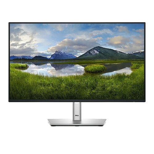 DELL Pro Plus P2425HE