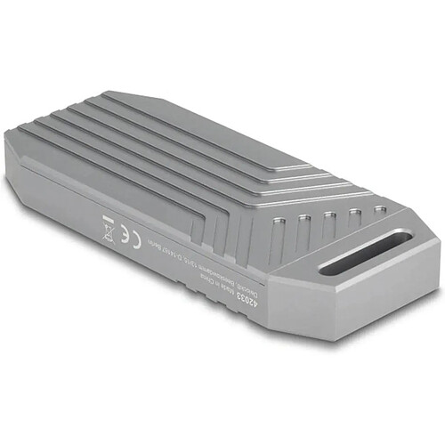 DeLOCK 42033 Boîtier SSD M.2 PCI Express 40 Gbit/s Gris USB Type-C