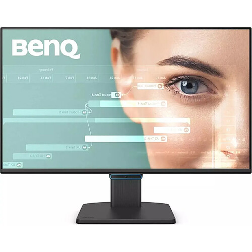 Benq LCD - BL2490C