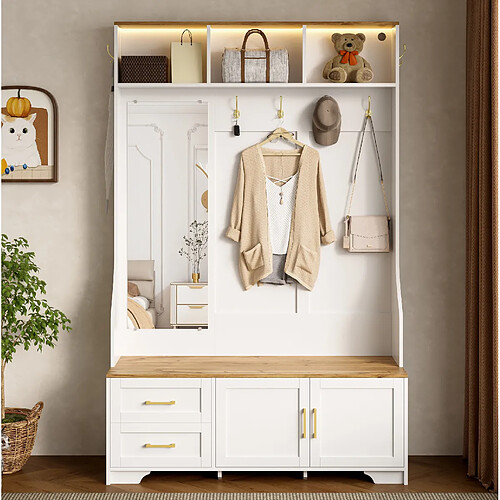 Armoire d’entrée multifonctionnelle 120 x 40 x 187 cm - Modenvie