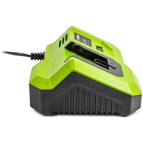 Fieldmann chargeur de batterie 20V