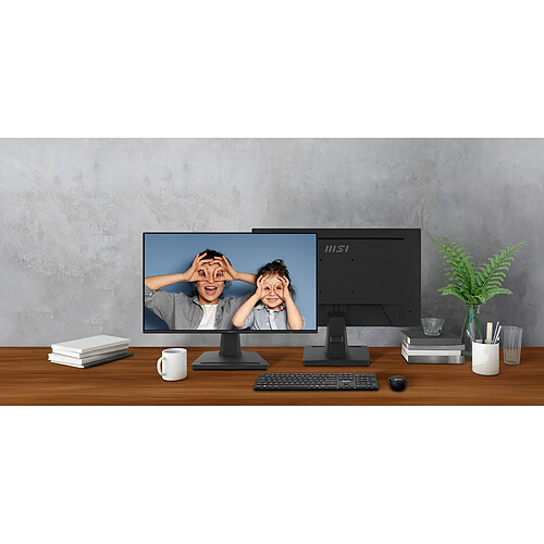 Msi LCD - PRO MP252
