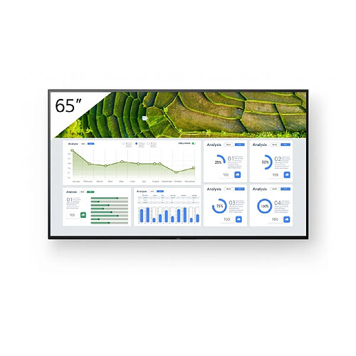 Sony Pro Bravia