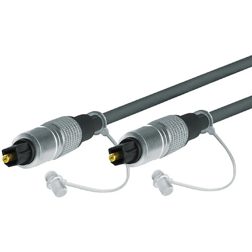 Dexlan câble optique Toslink - Noir