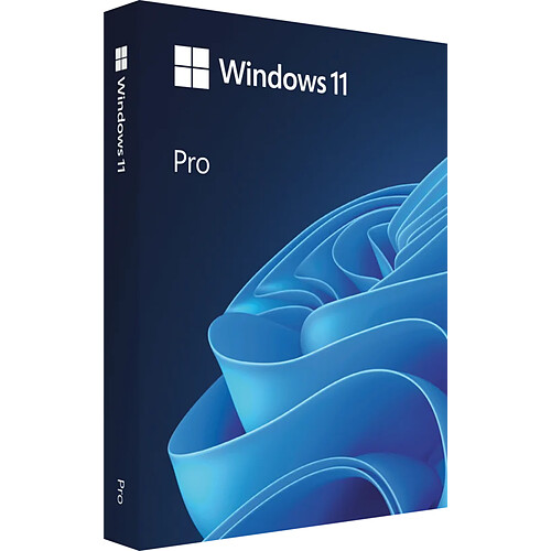 Microsoft Windows 11 Pro 64 bits - Clé USB