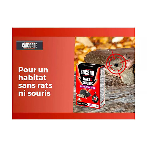 Caussade traitement jardin insectes