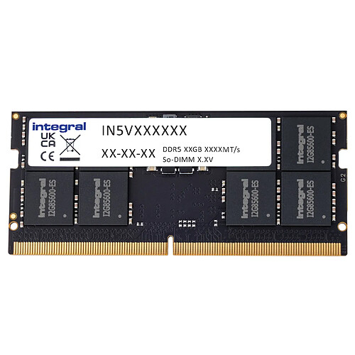 Integral IN5V16GNJRDX 16Go 5600MHz DDR5