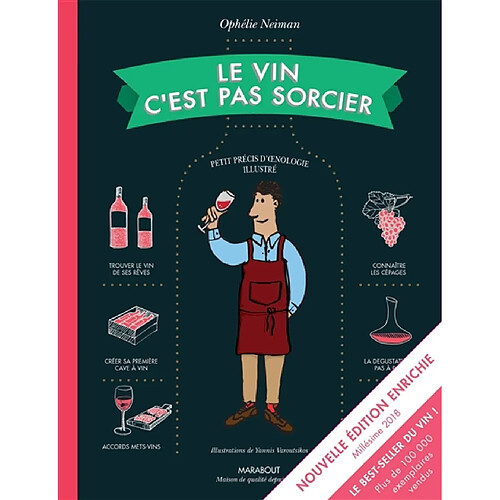 Le vin c'est pas sorcier : petit précis d'oenologie illustré · Occasion