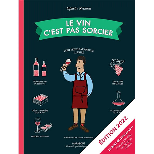 Le vin c'est pas sorcier : petit précis d'oenologie illustré · Occasion