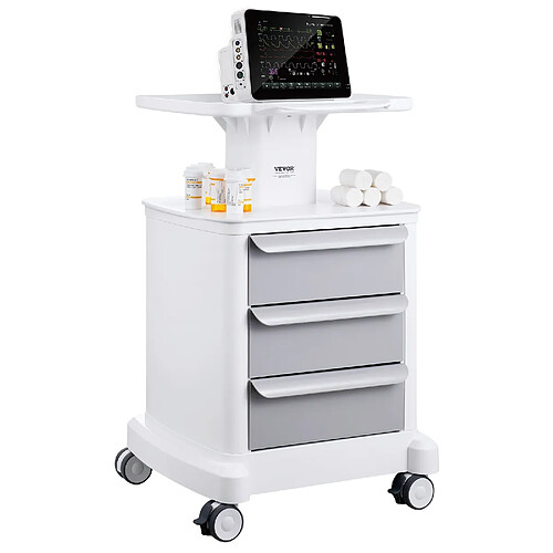 VEVOR FY-1T3C - Blanc - 50 kg