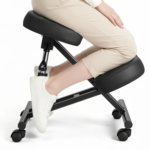 VEVOR MST005-1 - Noir - 120 kg