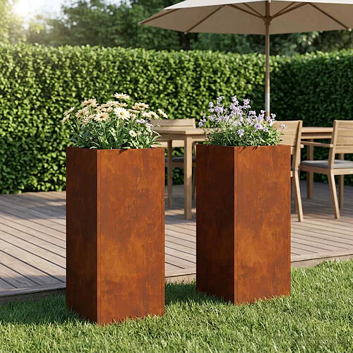vidaXL Cache-pot de jardin 2 pc Rouillé 20 x 20 x 40 cm Acier patiné