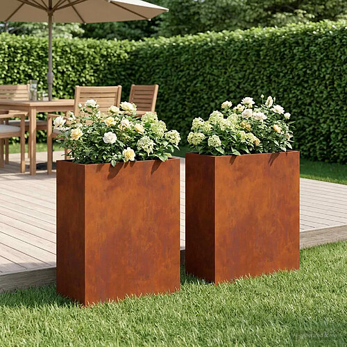 vidaXL Cache-pot de jardin 2 pc Rouillé 40 x 20 x 50 cm Acier patiné