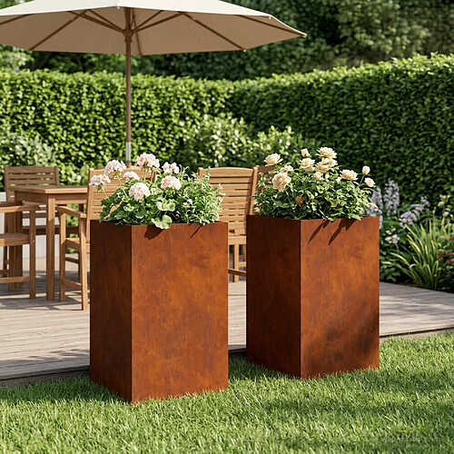 vidaXL Cache-pot de jardin 2 pc Rouillé 30 x 30 x 40 cm Acier patiné