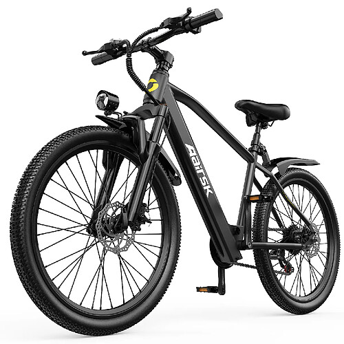 Vélo électrique AAIRSK GT300 36V 10AH