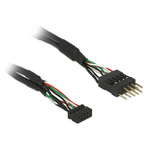Delock Câble USB interne 10 broches - 12 cm - Noir