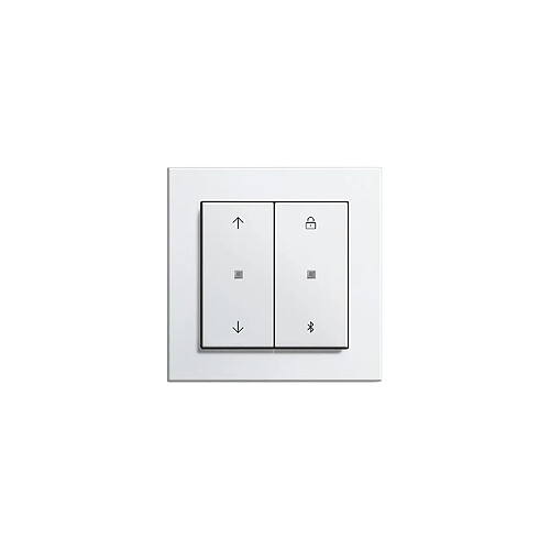 GIRA 537903 - Détecteur de mouvement - Contrôle automatique de l'éclairage - Compatible avec le Système 3000 S3000