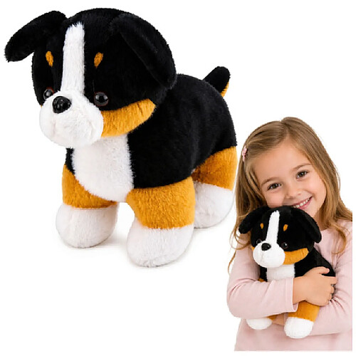 Lean Toys Peluche Mascotte Chien Doux Doudou Chien Bernois 30x30 cm