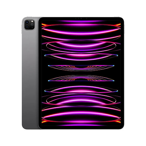 Apple iPad Pro 12,9 M2 - 2 To