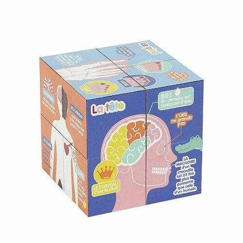 Paris prix cube éducatif corps humain