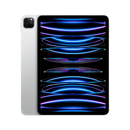 Apple iPad Pro 11 (2022) - 2 To