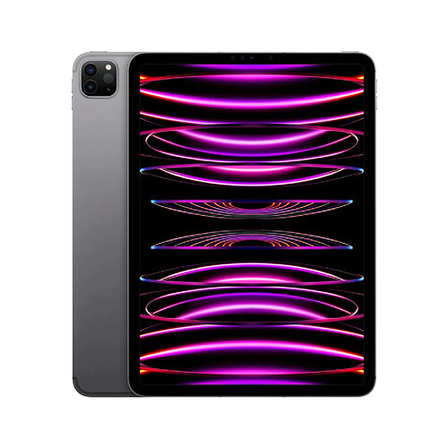 Apple iPad Pro 11 (2022) - 2 To