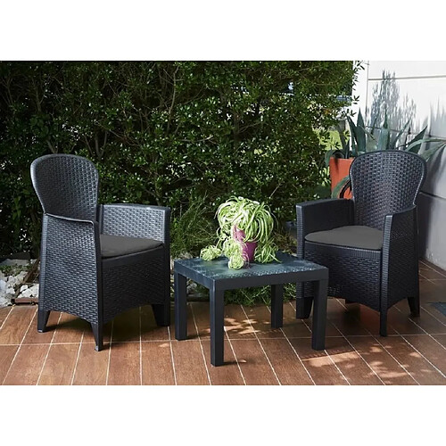 ProGarden Akita - Anthracite