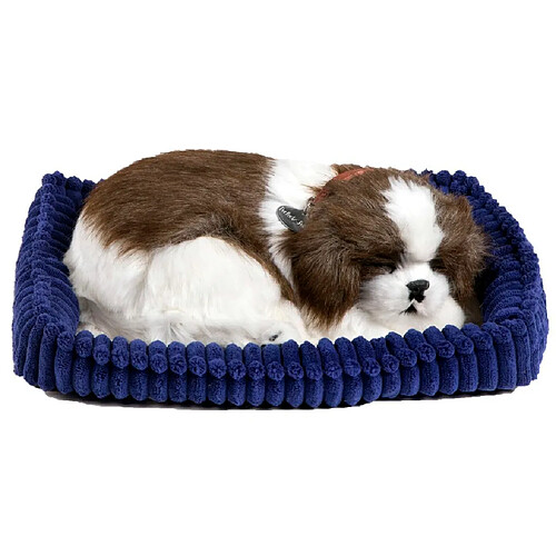 PERFECT PETZZZ Shih Tzu