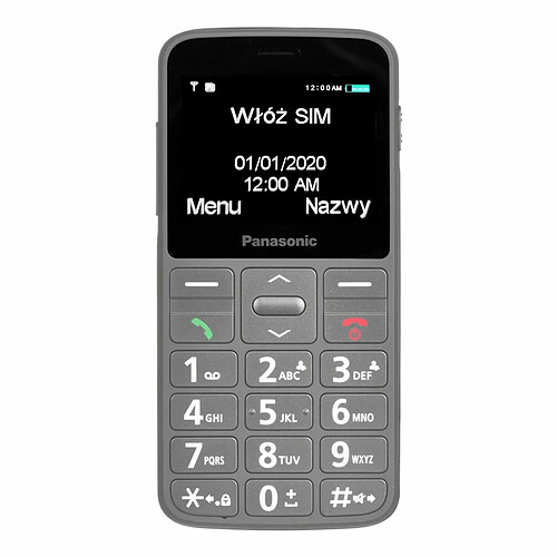 Panasonic téléphone portable - Gris