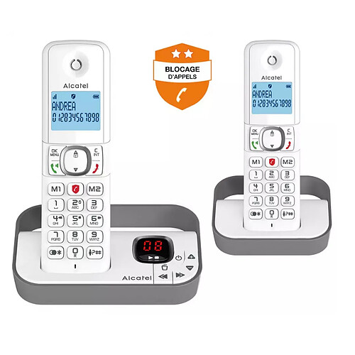 Alcatel F 860 Voice Duo - Gris