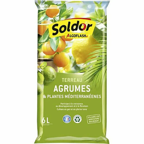 ALGOFLASH Terreau Agrumes Méditerranéen - 6L