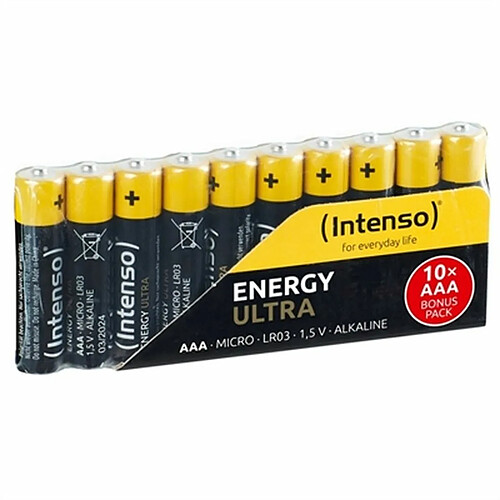 Intenso 7501910