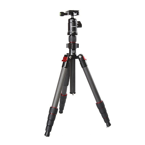 Starblitz TSC 215