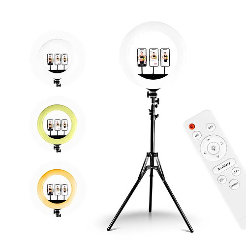 Wi-Light RL18 Selfie Trépied