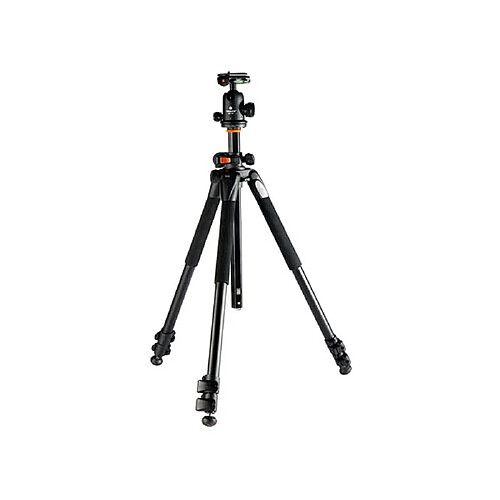 Vanguard Alta Pro 263AB100 Kit