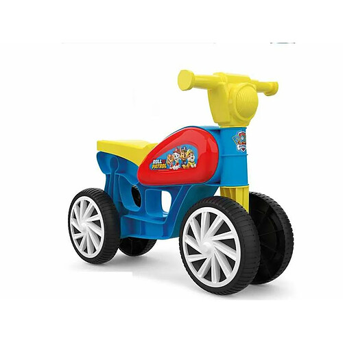 The Paw Patrol Mini Custom Tricycle