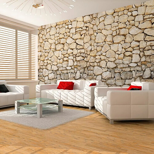 Paris Prix XXL Trompe l'Oeil Pierre