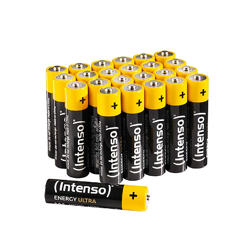 Ina piles alcalines AAA LR03 - 24 pièces