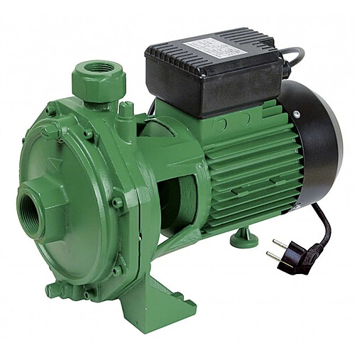 Pompe à eau de surface biturbine centrifuge 2000w - PRRBK200 - RIBILAND