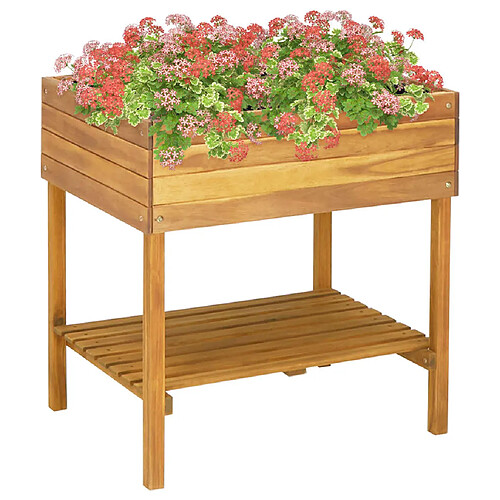 vidaXL Jardinière surélevée - Bois massif d'acacia