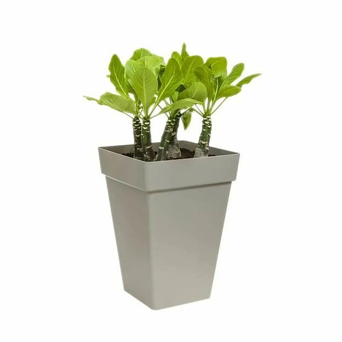 Elho Loft Urban - Ø29 cm - Couleur unie