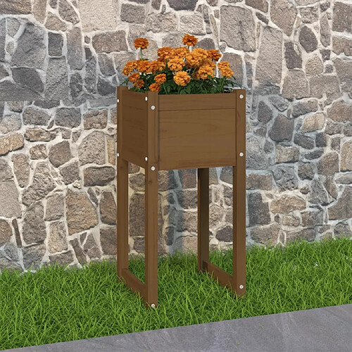 vidaXL Jardinière Bois de Pin 40x40x81 cm Marron Miel