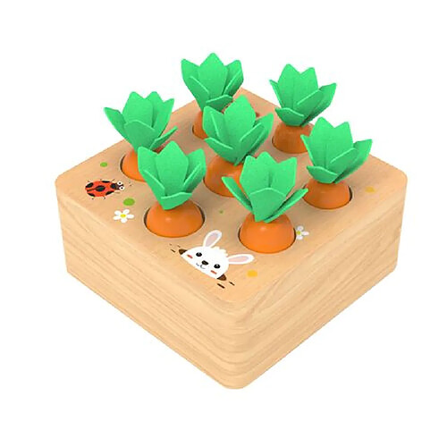 Redmiter puzzle éducatif en bois carottes