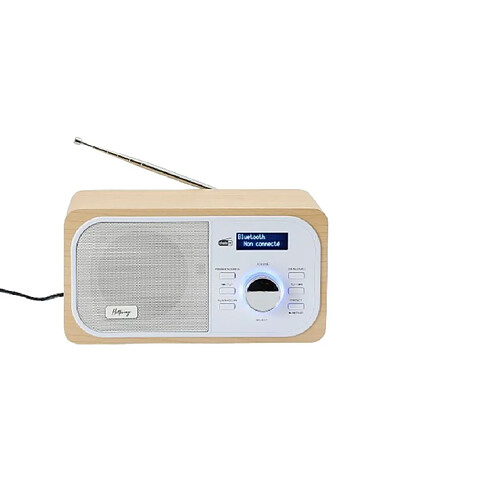 Halterrego Radio DAB+/FM Bluetooth - Bois