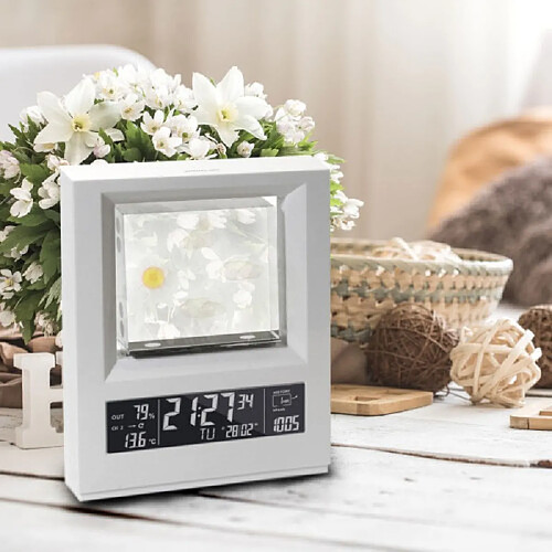 Magneticland Cristal Window Luxland