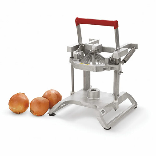 Pujadas Coupe Oignons Fleur 24 Quartiers