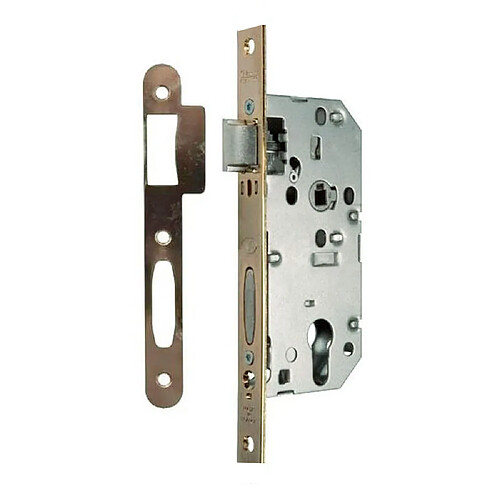 Vachette serrure encastrable réversible D455 - Nickel et or